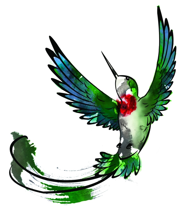 Hummingbird vector final